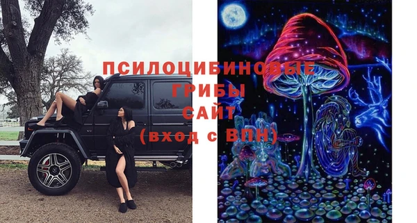 кокс Богородицк