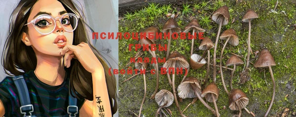 кокс Богородицк