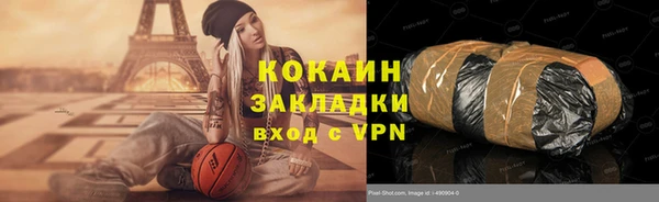 кокс Богородицк