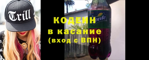 spice Богданович