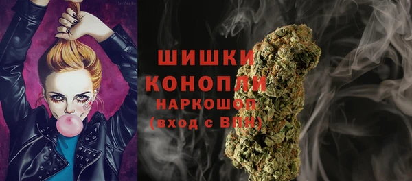 spice Богданович