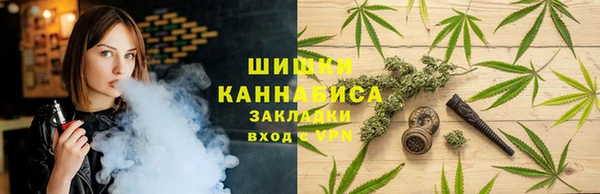 кокс Богородицк