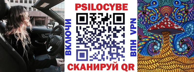 купить   Смоленск  Псилоцибиновые грибы Psilocybine cubensis 